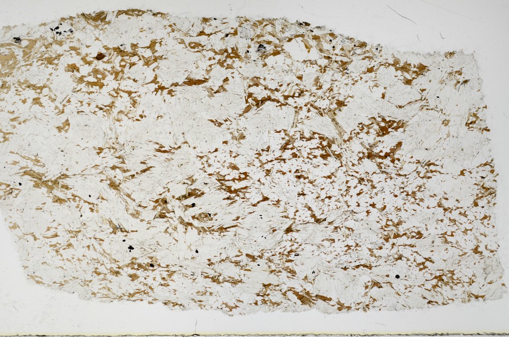 Plane Polarized, S68959