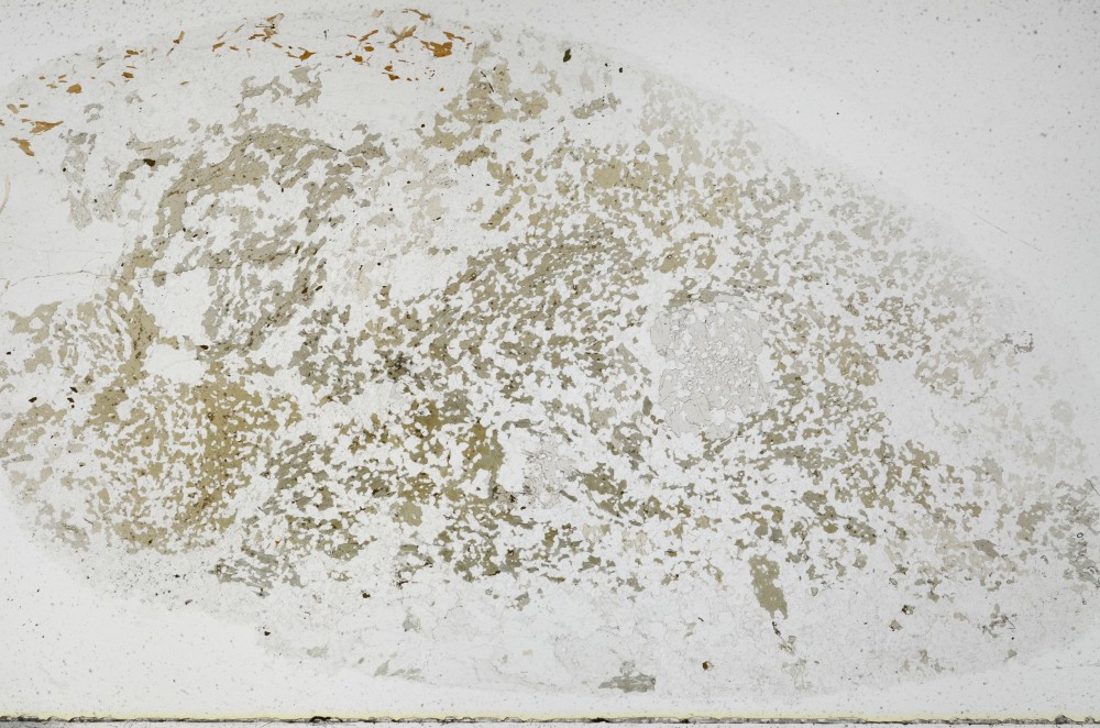 Plane Polarized, S68968