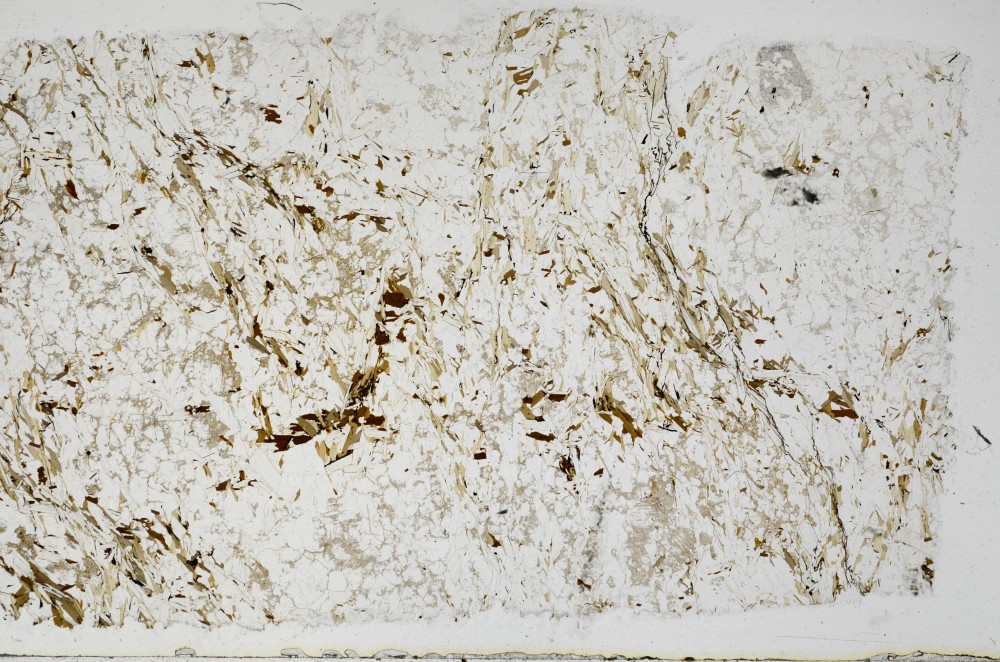 Plane Polarized, S68979