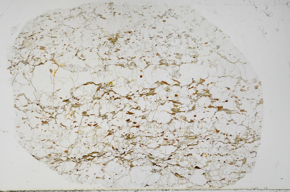 Plane Polarized, S68987
