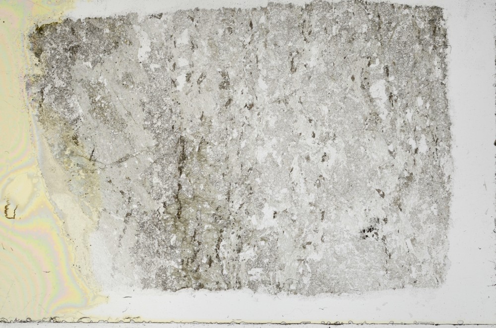 Plane Polarized, S68992