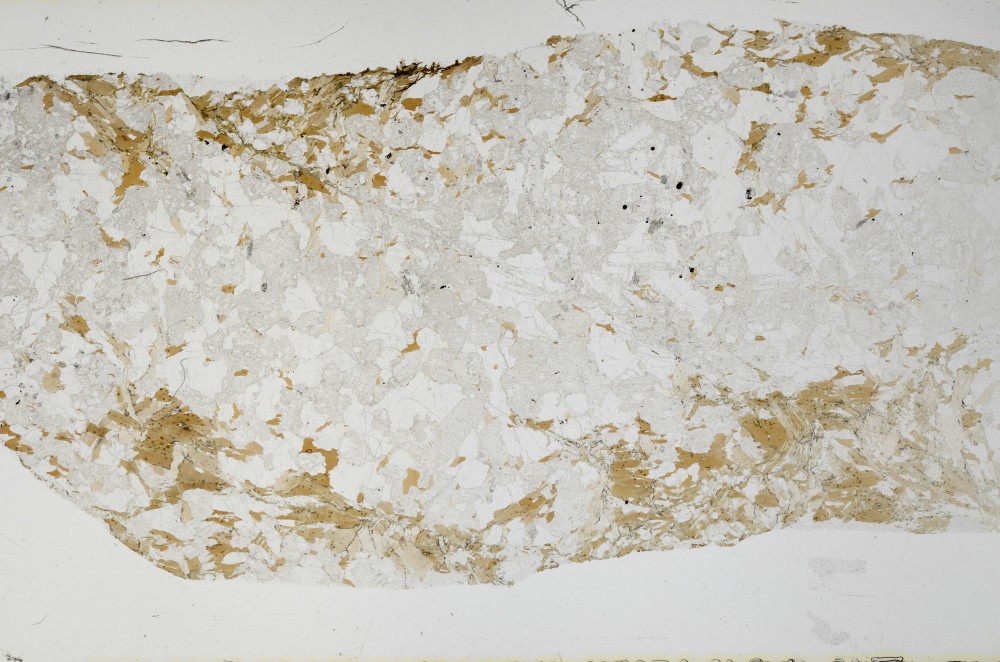 Plane Polarized, S68997