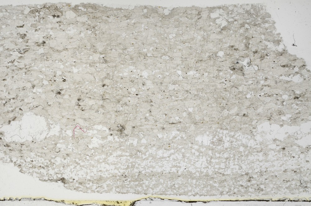 Plane Polarized, S68998