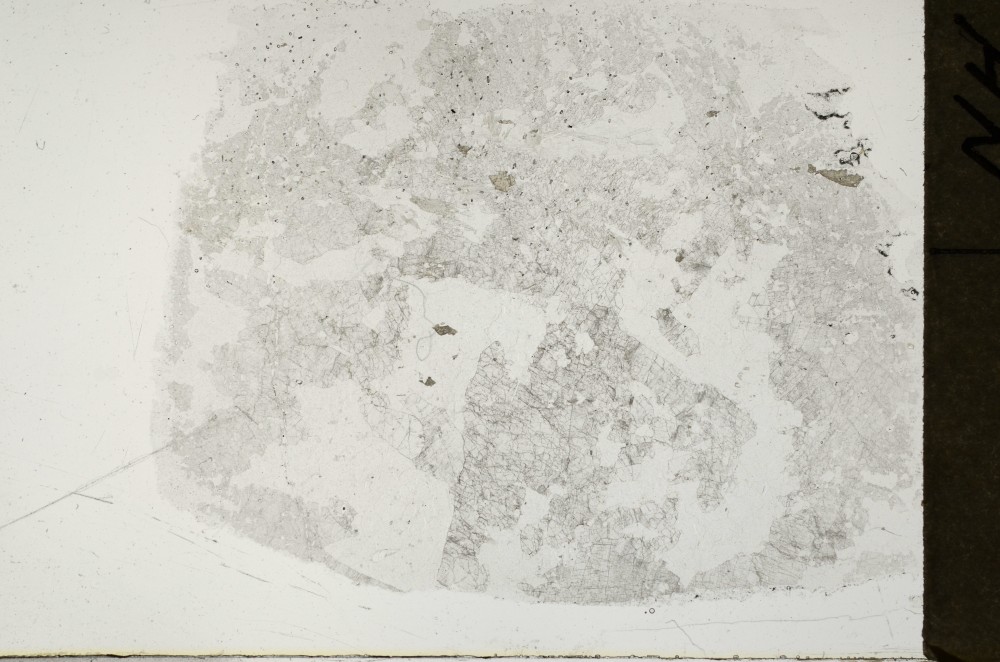 Plane Polarized, S69014