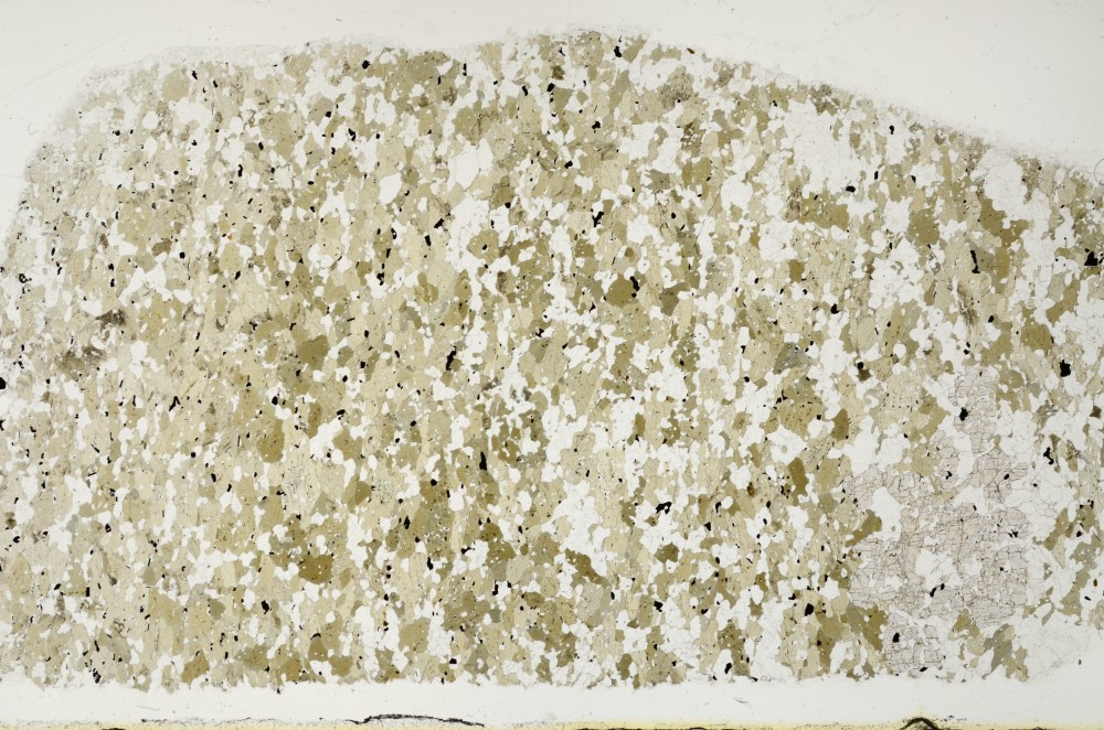 Plane Polarized, S69025