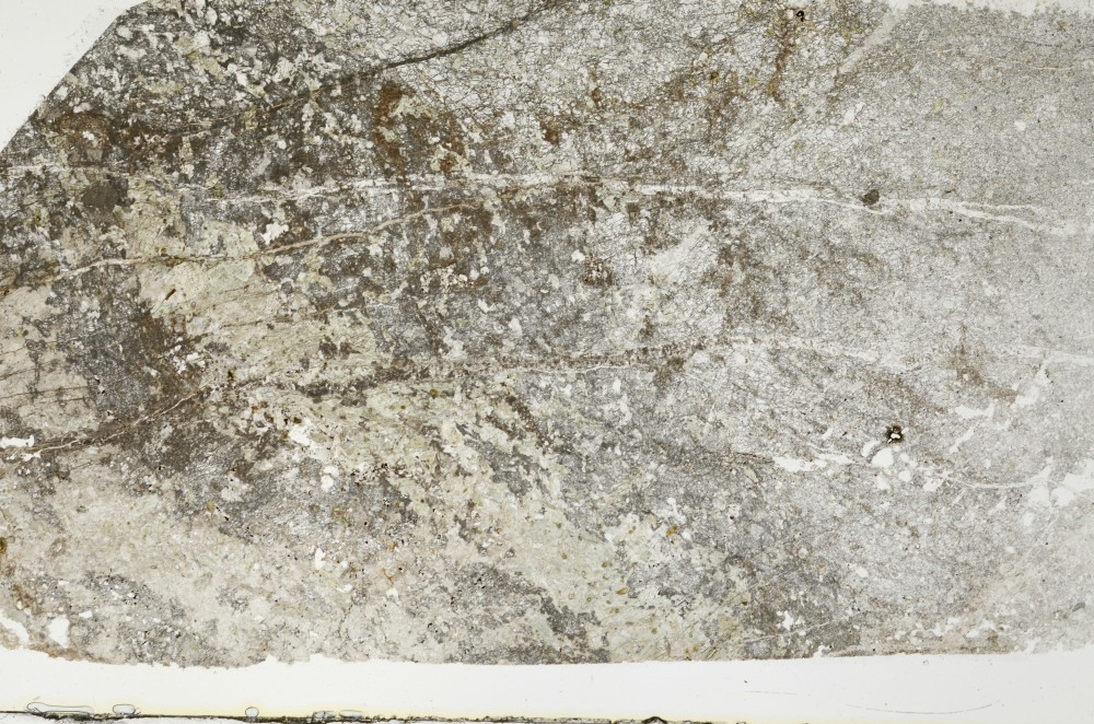 Plane Polarized, S69055