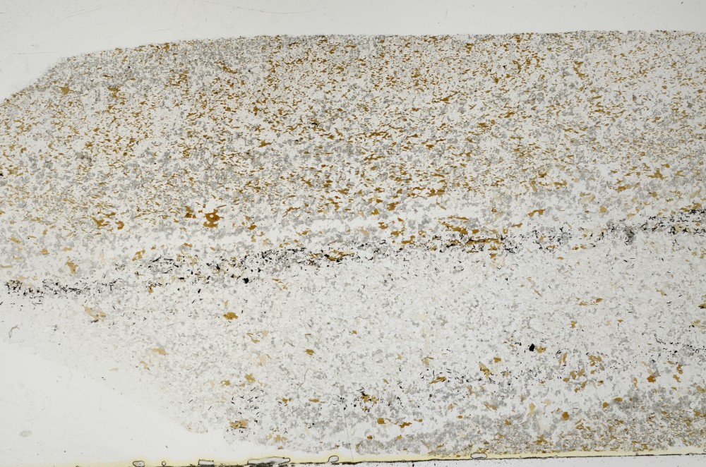 Plane Polarized, S69066