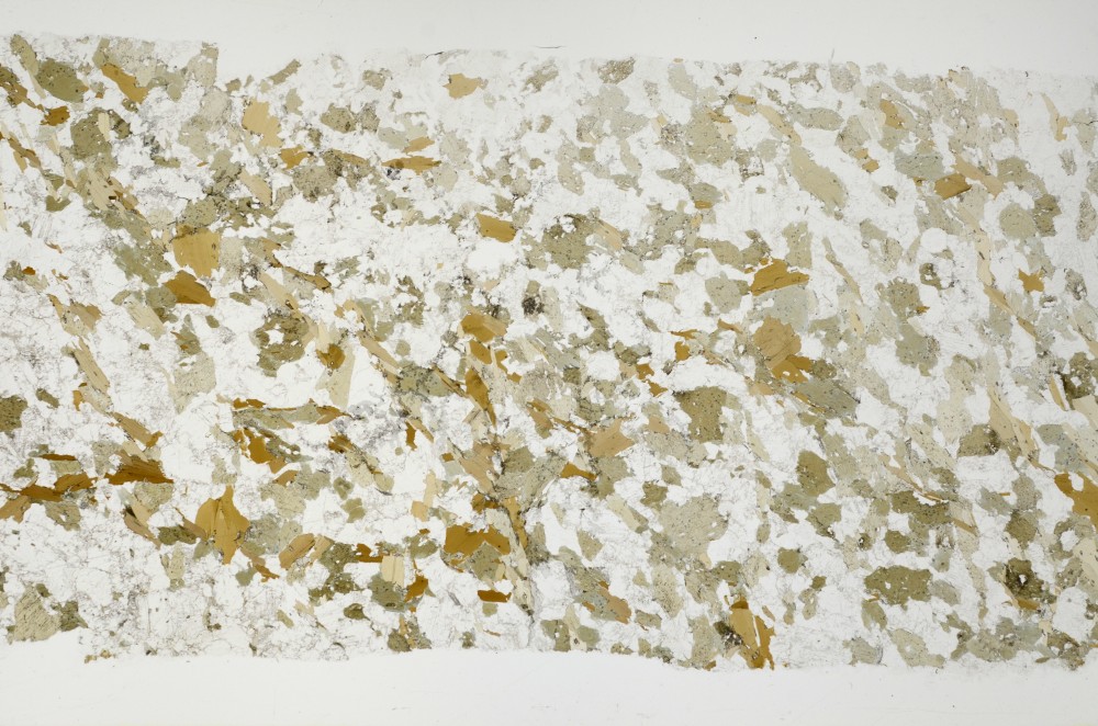 Plane Polarized, S69082