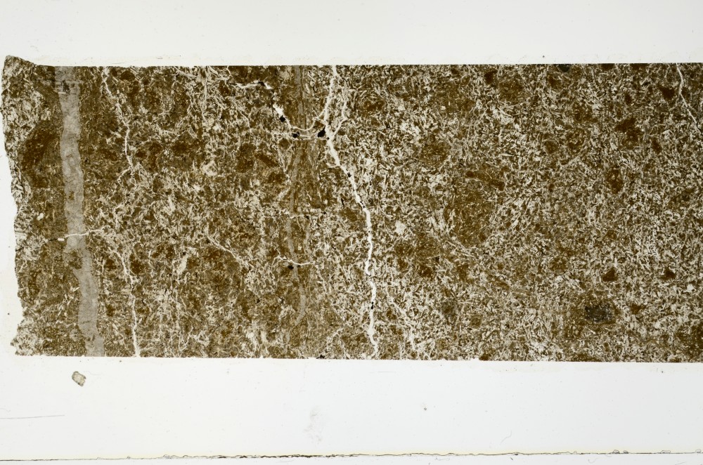 Plane Polarized, S69103