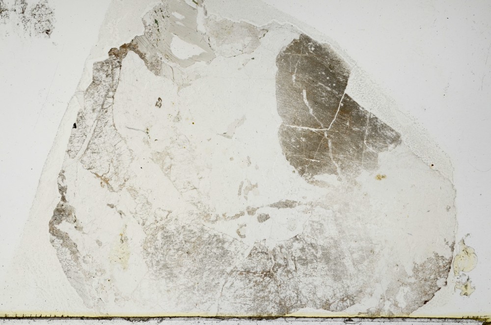 Plane Polarized, S69106