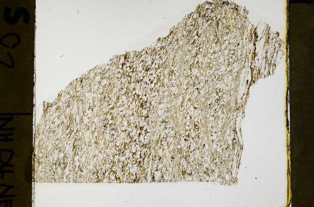 Plane Polarized, S69109