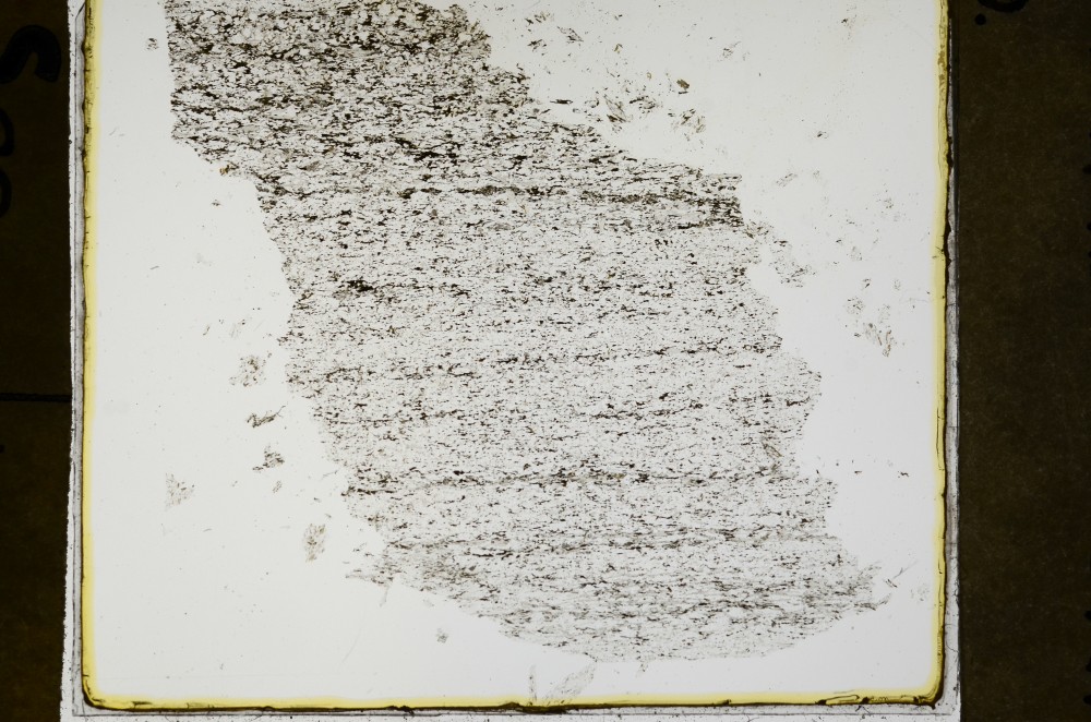 Plane Polarized, S69110