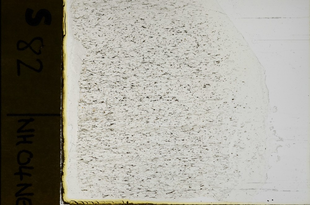 Plane Polarized, S69111