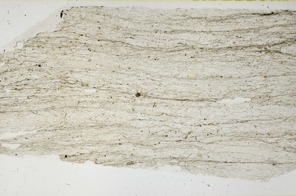 Plane Polarized, S69112