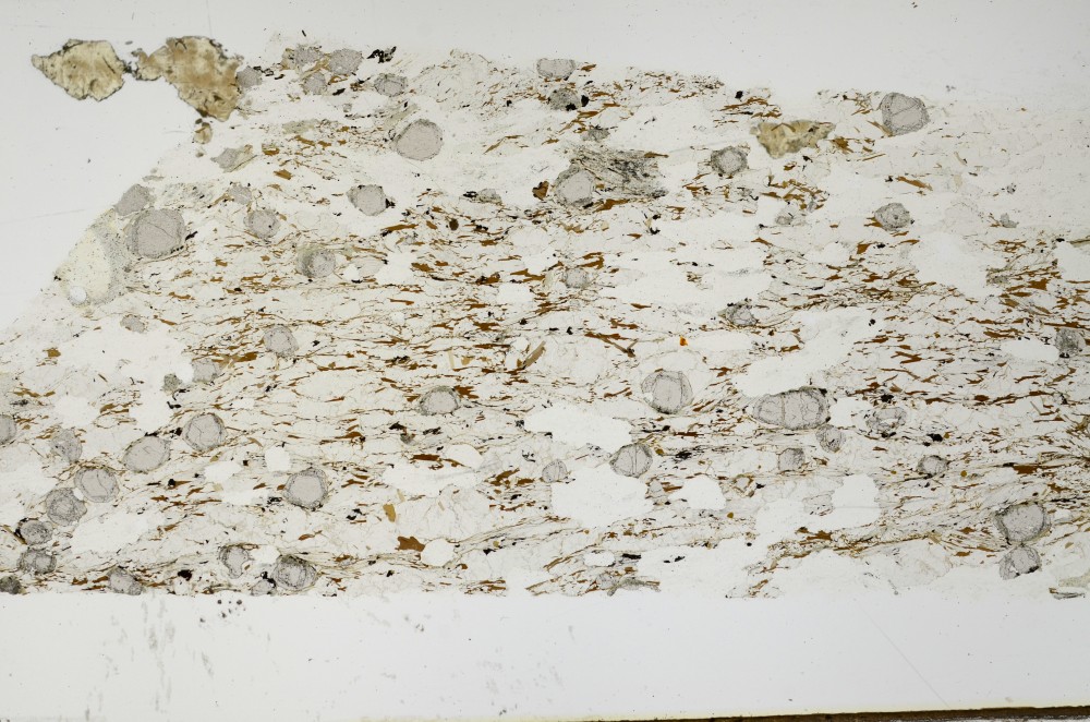 Plane Polarized, S69115