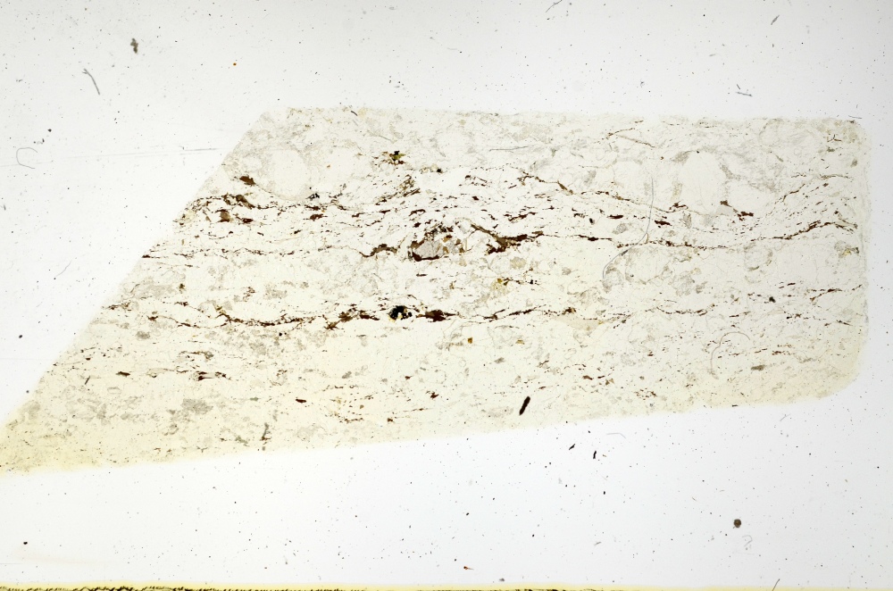 Plane Polarized, S69134