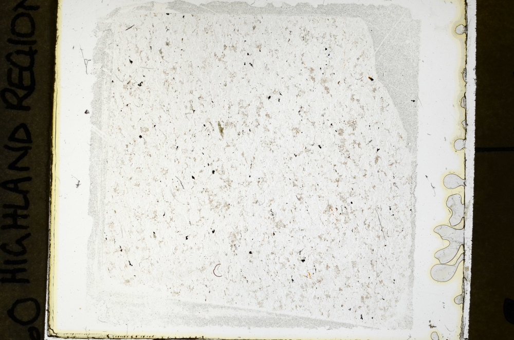 Plane Polarized, S69137