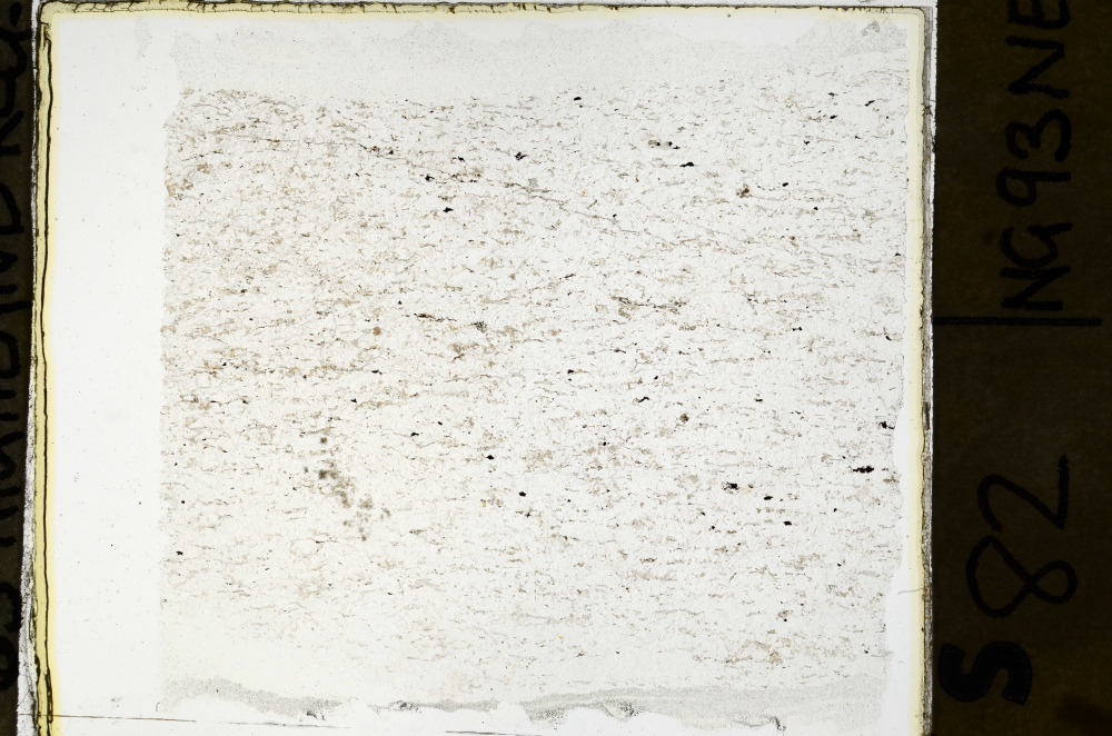 Plane Polarized, S69138