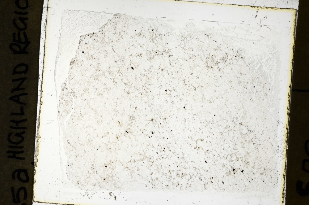 Plane Polarized, S69141