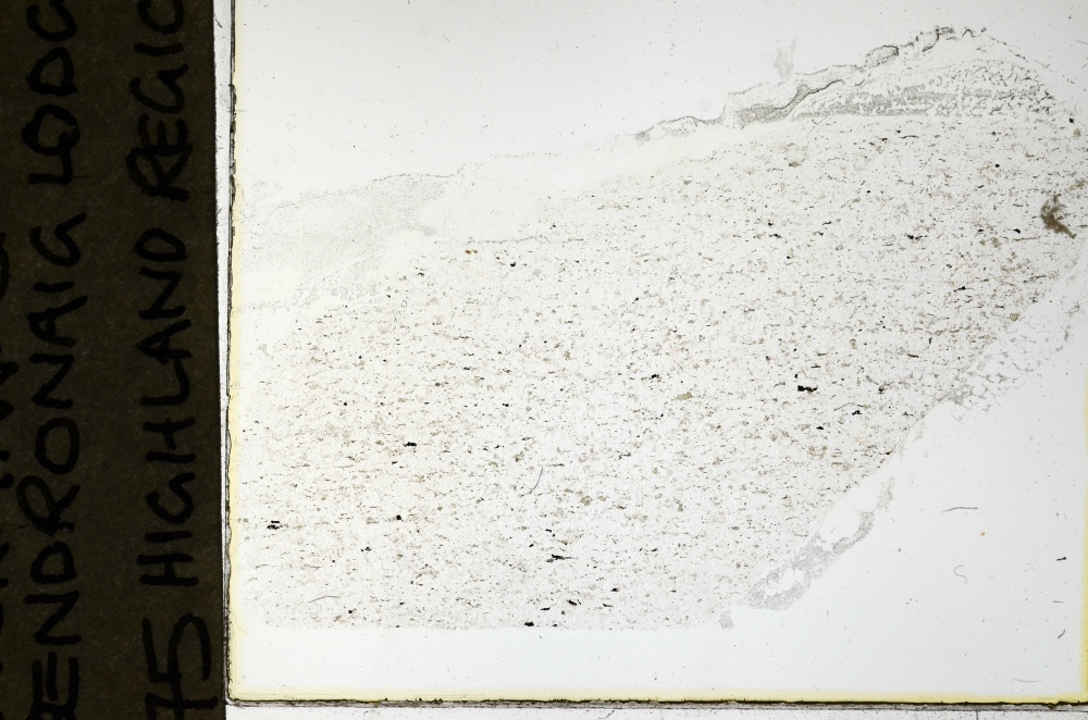 Plane Polarized, S69145