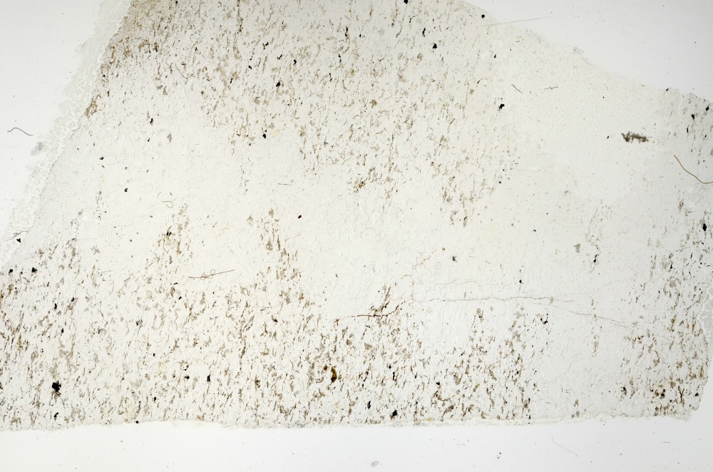 Plane Polarized, S69147