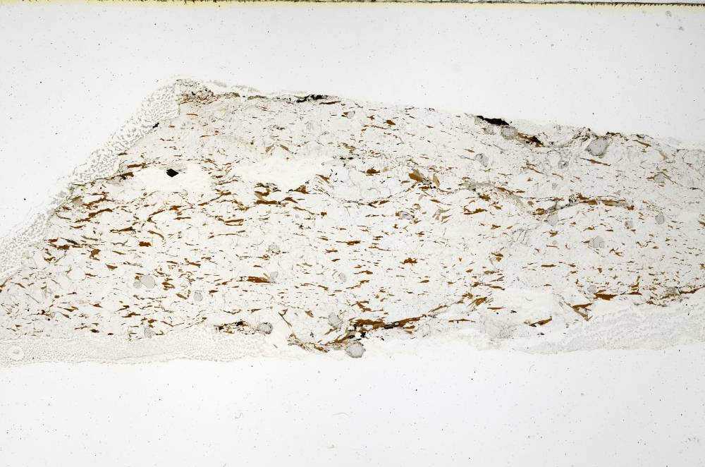 Plane Polarized, S69149