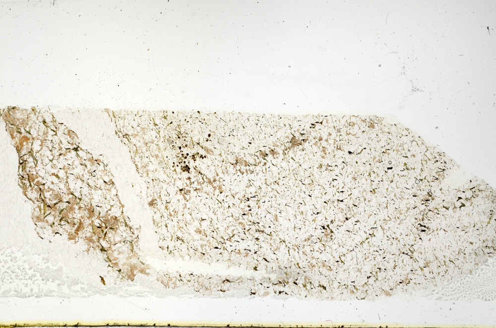 Plane Polarized, S69150