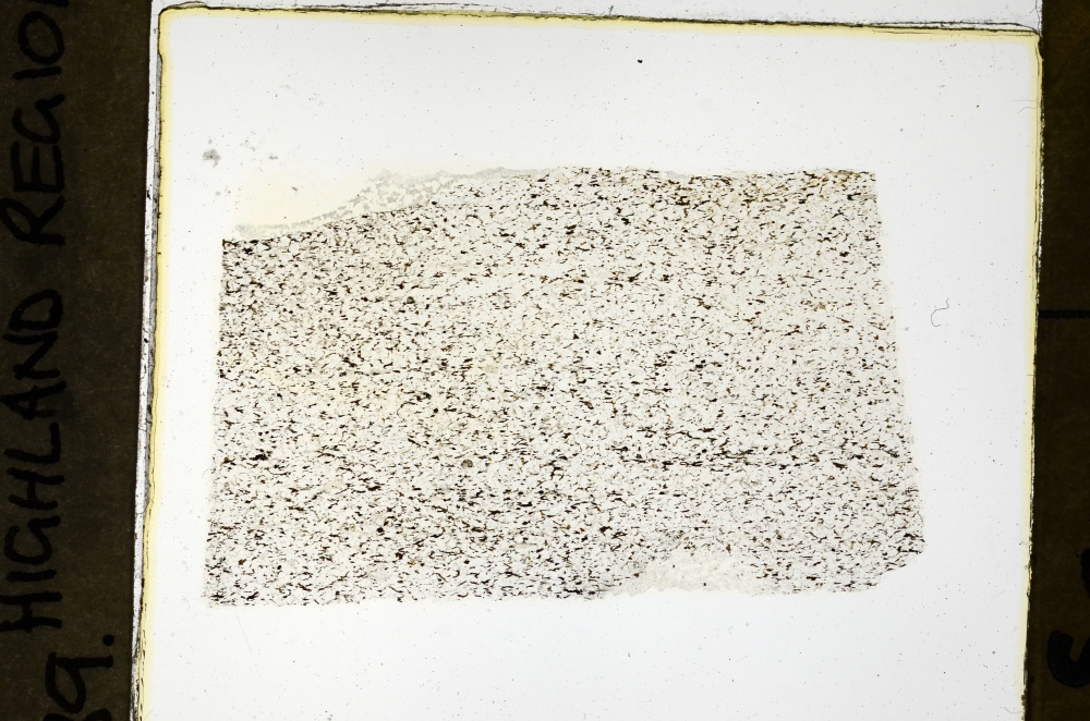 Plane Polarized, S69151/A