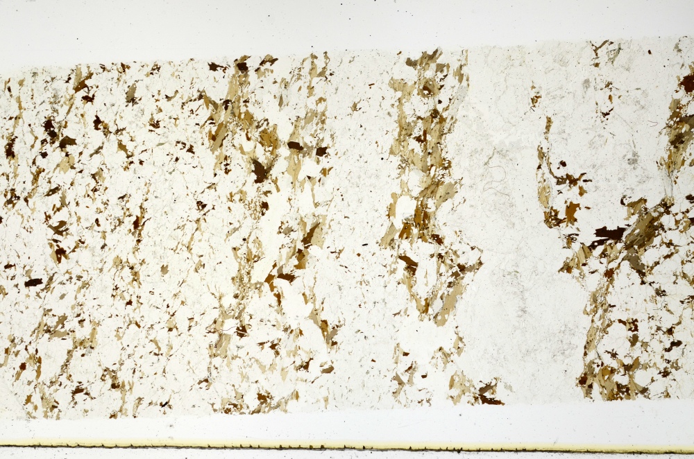 Plane Polarized, S69152