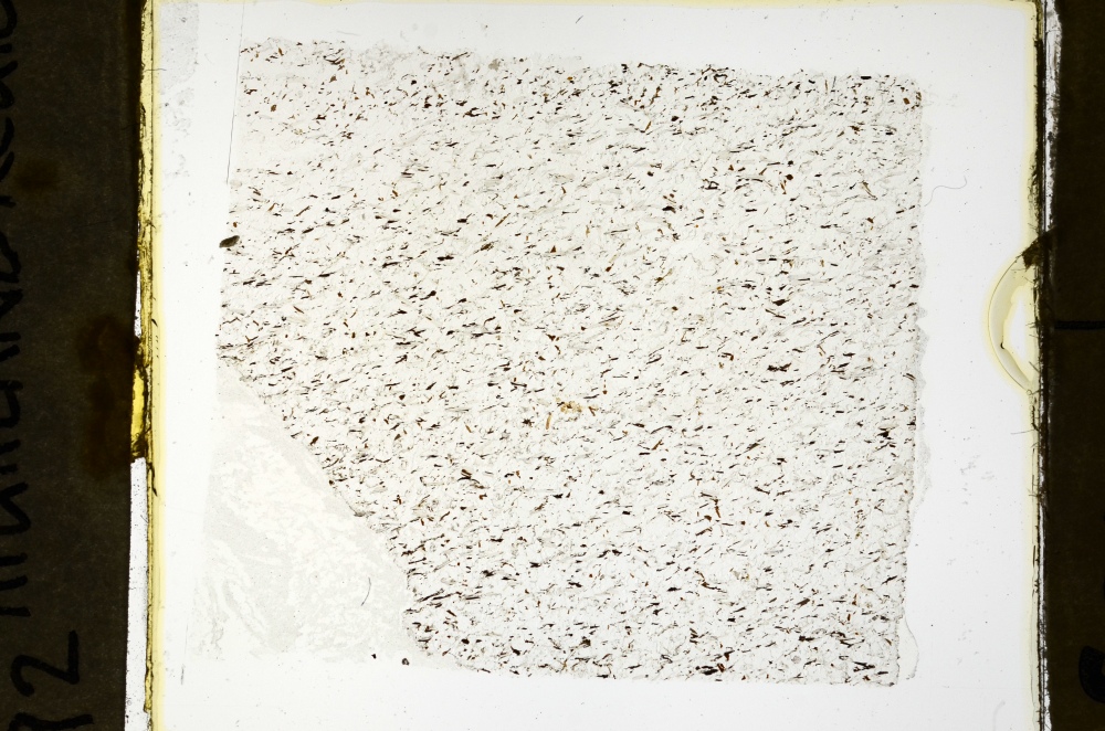 Plane Polarized, S69153