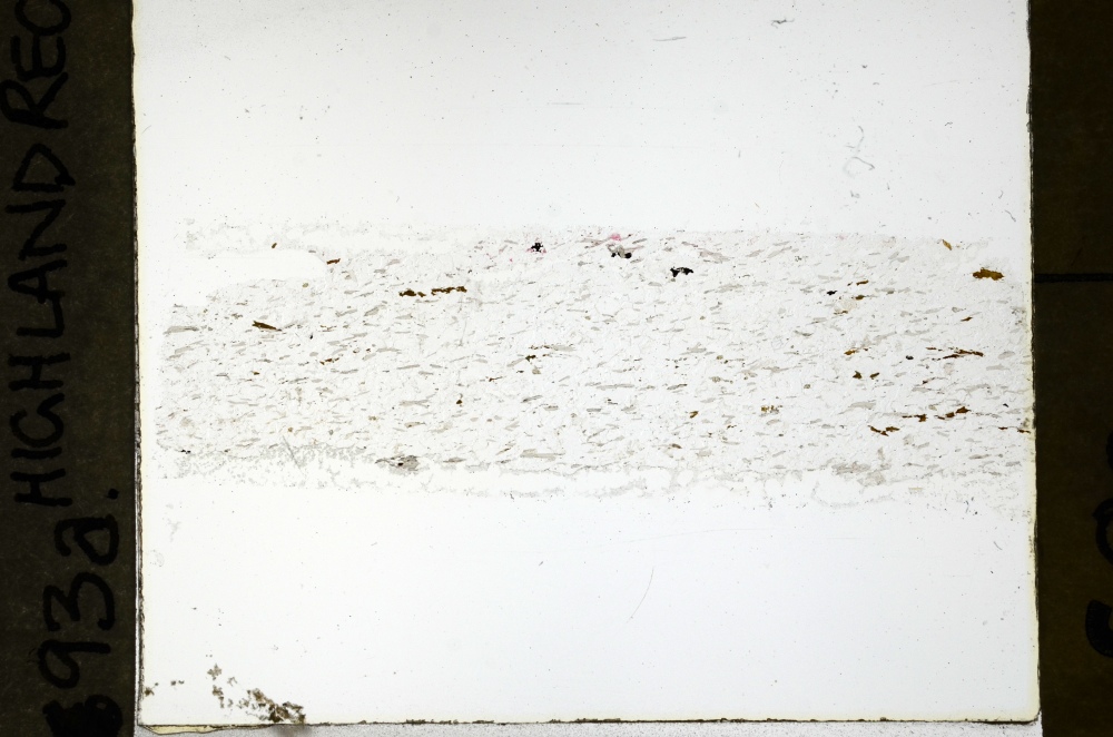 Plane Polarized, S69154