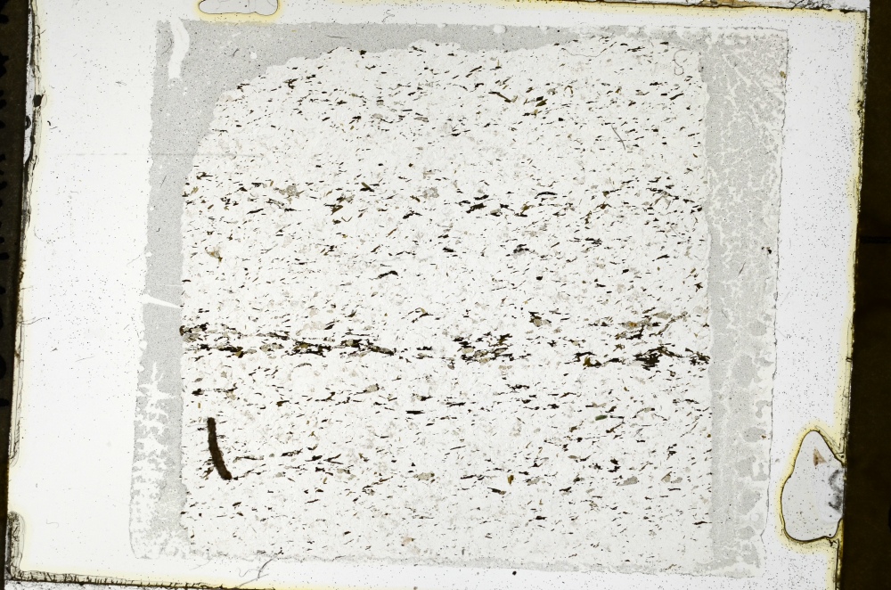 Plane Polarized, S69157
