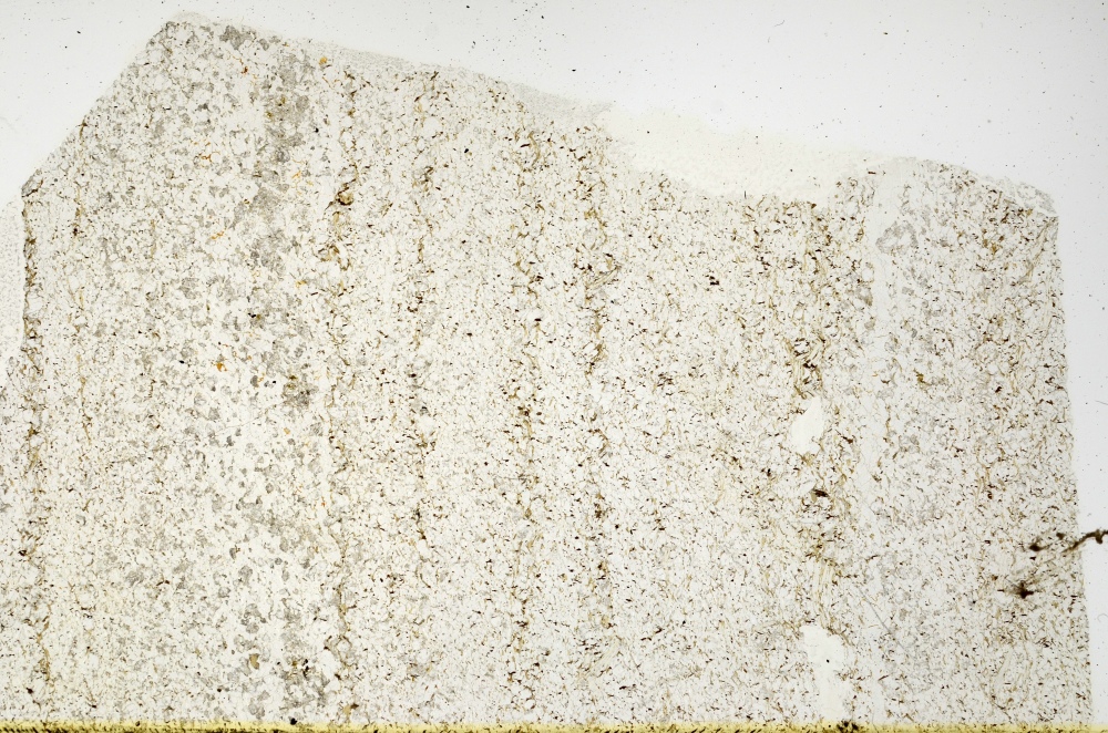 Plane Polarized, S69160