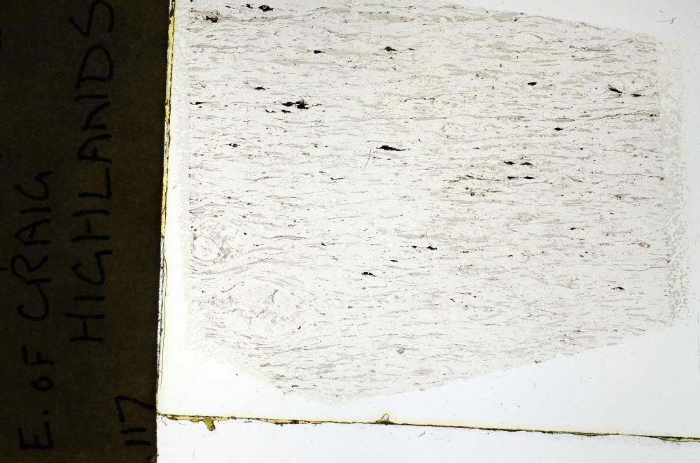 Plane Polarized, S69165