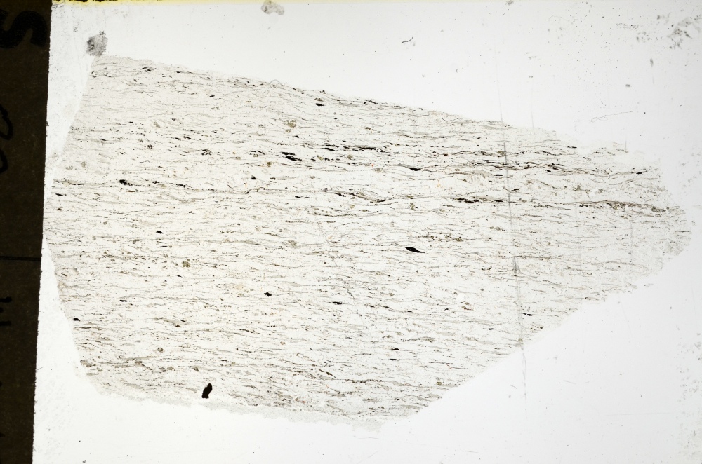 Plane Polarized, S69166