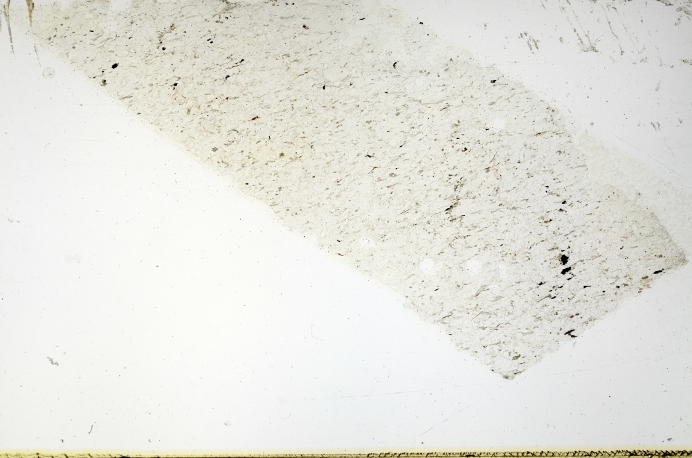 Plane Polarized, S69168