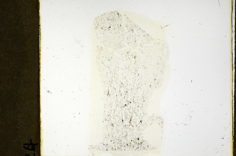 Plane Polarized, S69170