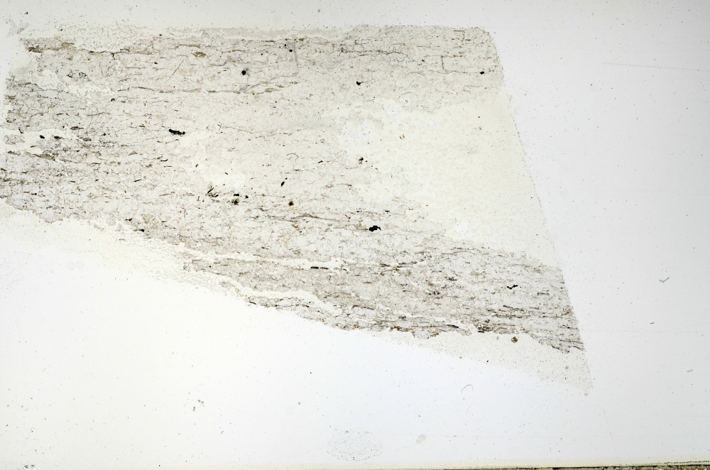 Plane Polarized, S69171