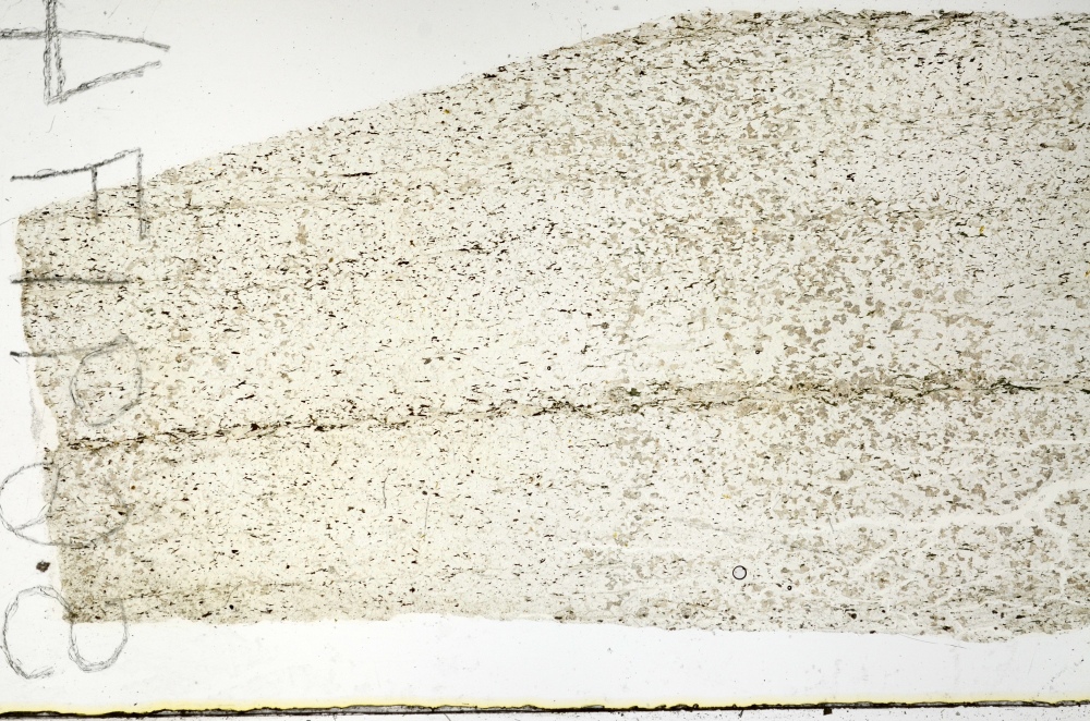 Plane Polarized, S69174