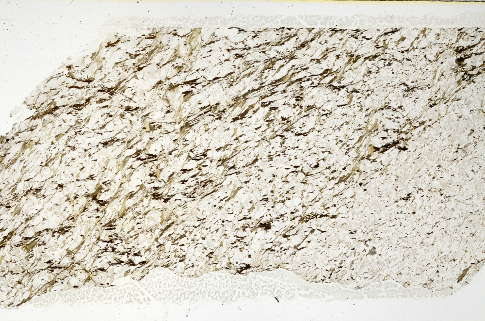 Plane Polarized, S69178