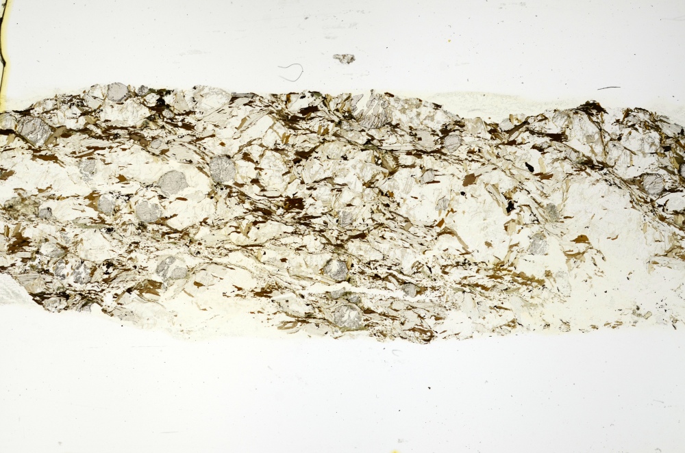 Plane Polarized, S69180