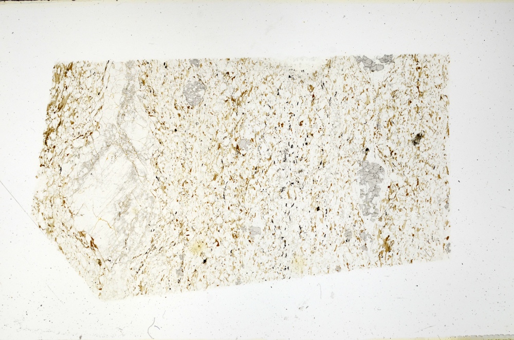 Plane Polarized, S69184
