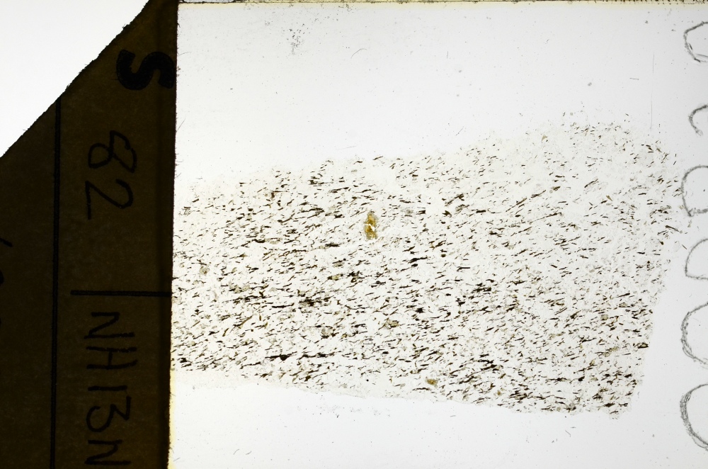 Plane Polarized, S69200