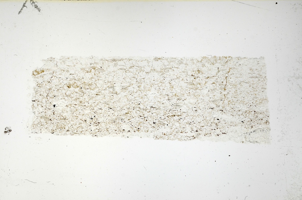 Plane Polarized, S69201