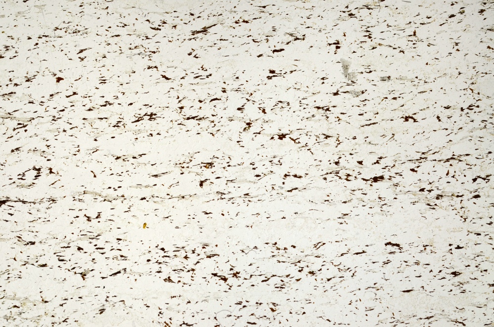 Plane Polarized, S69205