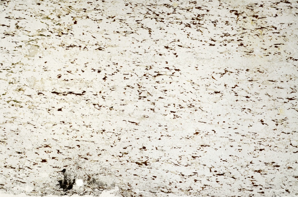 Plane Polarized, S69205/A