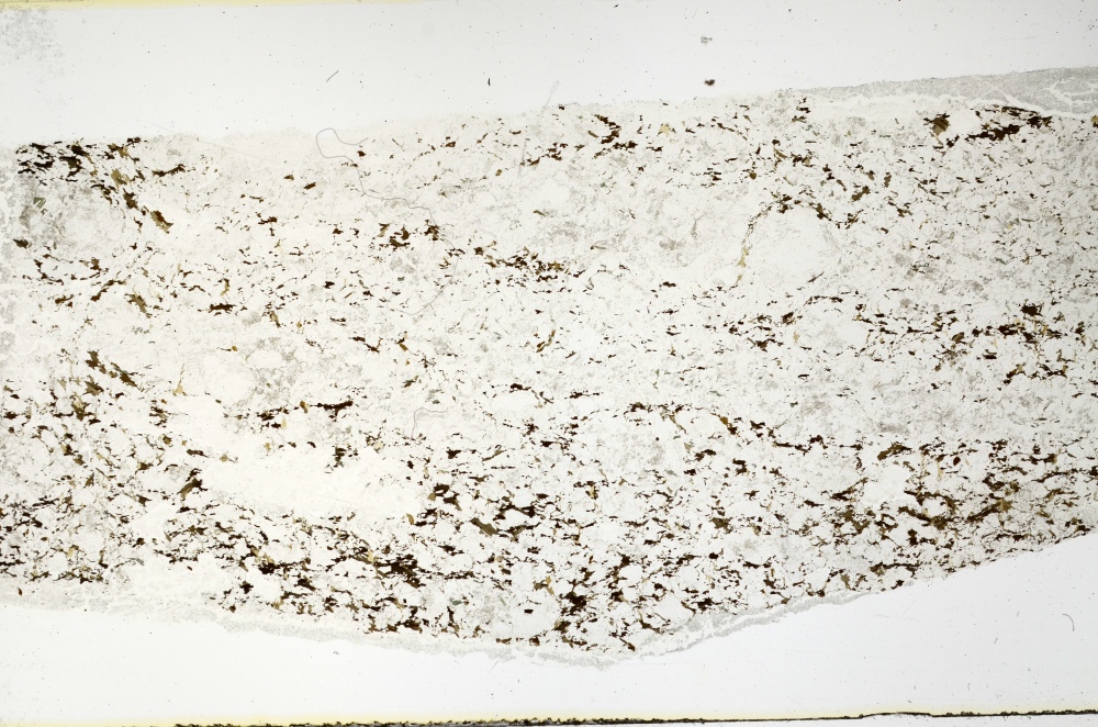 Plane Polarized, S69208