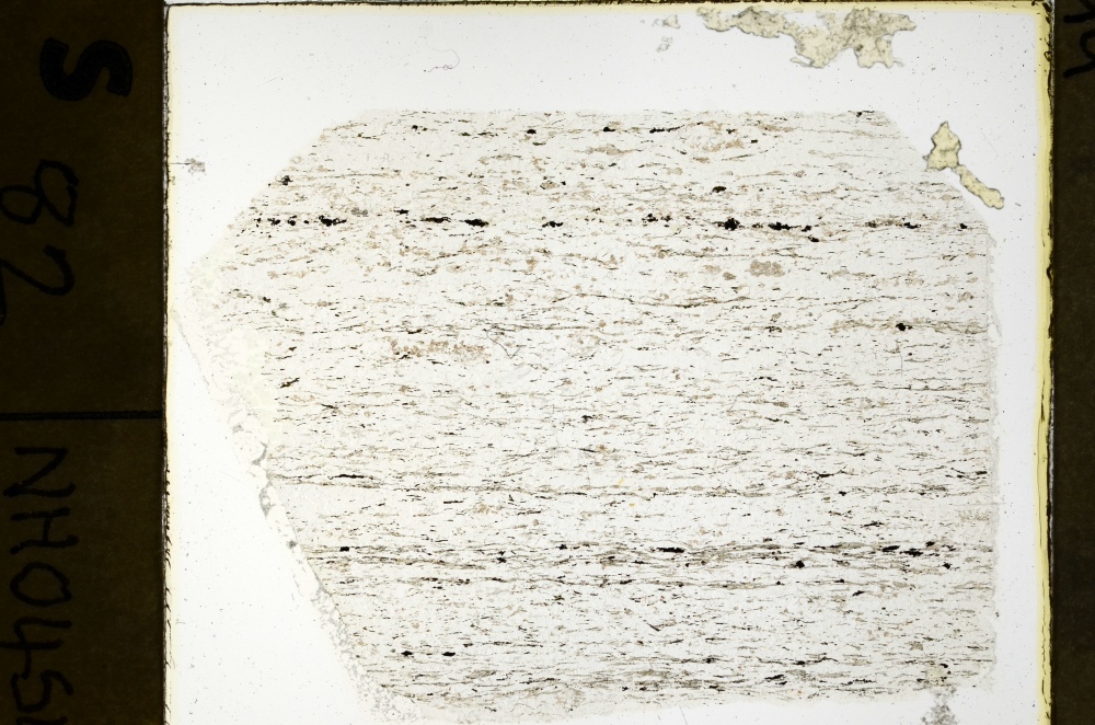 Plane Polarized, S69213