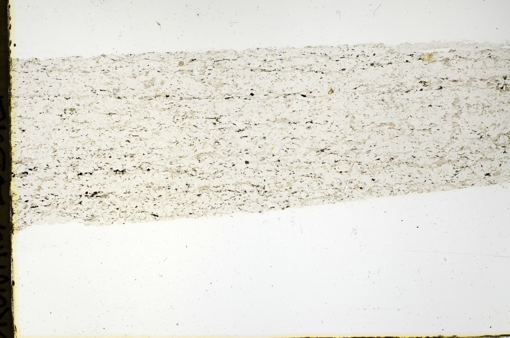 Plane Polarized, S69214