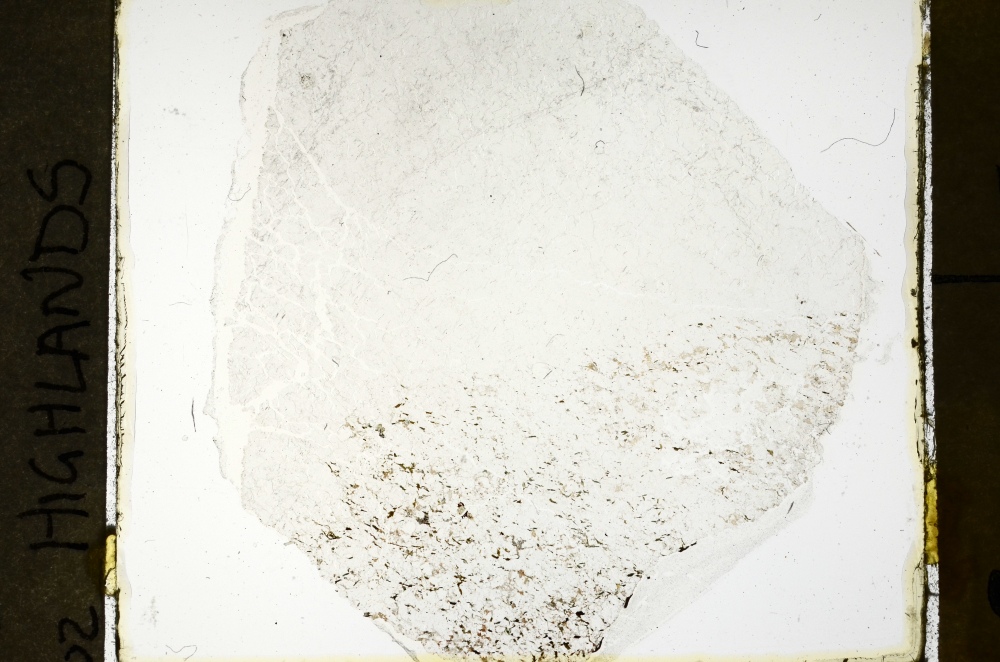 Plane Polarized, S69217